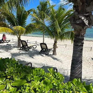 beachfront-loft-amara-cancun.quintano-roohotels.com/