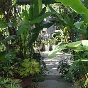 Sunny Garden Hoi An